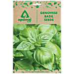 Optimal Seeds Genovese Basil Herb Seeds 50 pcs