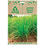 Optimal Seeds Lemon Grass Herb Seeds 100 pcs