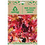Optimal Seeds Red Salad Lettuce Seeds 50 pcs