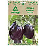 Optimal Seeds Indian Brinjal Vegetable Seeds 50 pcs