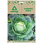 Optimal Seeds Cabbage Vegetable Seeds 50 pcs