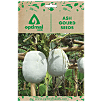 Optimal Seeds Ash Gourd Vegetable Seeds 10 pcs