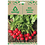 Optimal Seeds Red Radish Vegetable Seeds 25 pcs