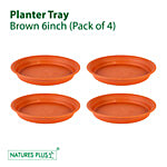 Natures Plus Planter Tray 60 - Plastic, Brown, Durable, Longlasting 4 pcs
