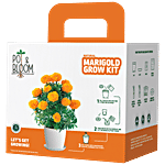 Pot & Bloom Natural Marigold Grow Kit - Easy-To-Use 2 kg