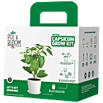 Pot & Bloom Natural Capsicum Grow Kit - Easy-To-Use 2 kg