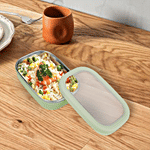 Tedemei Lunch Box Rectangular With Lid - Big 820 ml