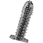 Atease Reusable/Washable Condom - With Dots 1 pc 