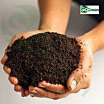 Go Green Vermi Compost 5 kg Pouch