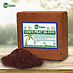 Go Green Coco Peat Block 5 kg
