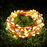 Eveready Copper String Light 3000K 1 pc 