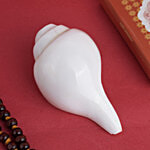 Satvik Vamavarti Shankh/Conch Shell - 11.5 cm 1 pc