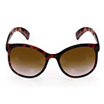 Fastrack Women Bugeye Sunglasses With UV Protected Lens - Brown 1 pc