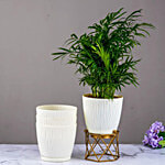 Nurturing Green Self Watering Pots - Ivory 4 pcs