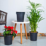 Nurturing Green Nursery Plastic Pots - 20 x 19 cm 5 pcs