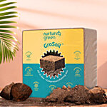 Nurturing Green GroSoil All-in-One Potting Soil For Plants 4.2 kg