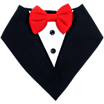 Dog-O-Bow Black "Tuxedo" Bandana 1 pc (Size - S)