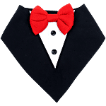 Dog-O-Bow Black "Tuxedo" Bandana 1 pc (Size - M)