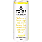 Tribe Gingerade Kombucha Probiotic Sparkling Super Drink 250 ml Can