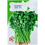 Bombay Seeds Coriander Seeds 10 g
