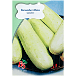 Bombay Seeds Cucumber Khira Seeds 10 g