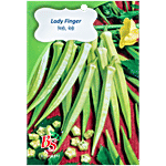 Bombay Seeds Lady Finger Seeds 10 g