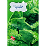 Bombay Seeds Lettuce Iceberg Seeds 10 g