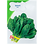 Bombay Seeds Spinach Seeds 10 g