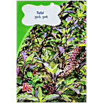 Bombay Seeds Tulsi Seeds 10 g