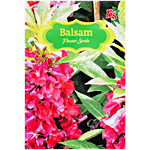 Bombay Seeds Balsam Flower Seeds 10 g