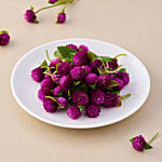 fresho! Rudraksha Flower 50 g