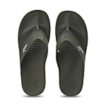 Puma Men's Aqua Burnt Olive Flip Flops 1 Pair (UK/IND-7)