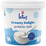 Lotus Dairy Creamy Delight Probiotic Dahi 1 kg Tub