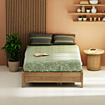 Kopa Magnolia Pistachio 152 TC Micro Fabric Double Bedsheet With 2 Pillow Covers 1 Set