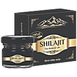 Swadeshi Ayurved Shilajit Resin Of Life 20 g