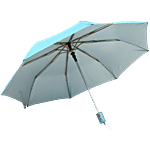 Citizen 3 Fold Silver & Sky Blue Umbrella 1 pc