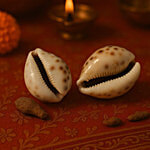 Pujashree Laxmi Kauri 2 pcs