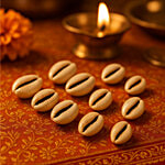 Pujashree Kauri 11 pcs