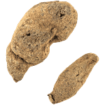 Pujashree Riddhi Siddhi 1 Pair