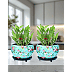 Prime-Metal Versatile Lily Metal Plant Pot With Tripod Stand, Green 2 pcs