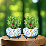 Prime-Metal Versatile Flower Metal Planters With Tripod Stand 2 pcs