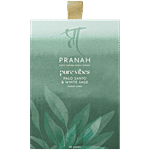 Pranah Pure Vibes Palo Santo & White Sage Dhoop Cones 25 pcs
