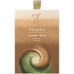 Pranah Cosmic Vibes Bhoomi Incense Cones 25 pcs