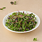 fresho! Mix (Purple Sango Radish + Spinach + Mustard + Beetroot) - Microgreen 50 g