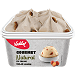 Vadilal Gourmet Gulab Jamun Ice Cream 750 ml