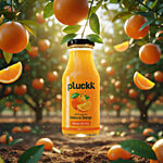 Pluckk Cold Pressed Valencia Orange Fruit Juice 250 ml