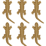 Toyshine Fake Rubber Lizard Toy - Halloween Party Prank Prop 6 pcs