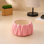 bb home Earth Handcrafted Medium Size Planter - Blush Bloom, Hand-Painted 1 pc