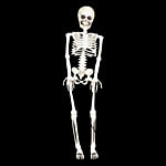 DP Full Body Human Skeleton Model Figure For Halloween Decoration & Display 1 pc