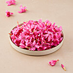 fresho! Kanagale/Oleander Flower 25 g